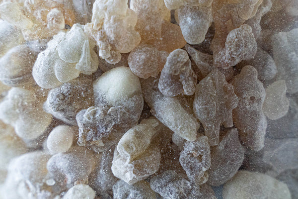 Frankincense - Omani Citrus Hojari